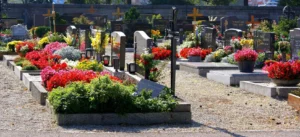 Allée bordée de tombes et de monuments funéraires fleuris dans un cimetière paysager